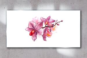 Obraz na skle Obraz na skle Květiny rostlinné větve