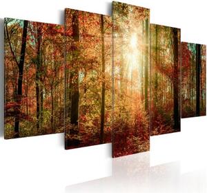 Obraz - Autumn Wilderness