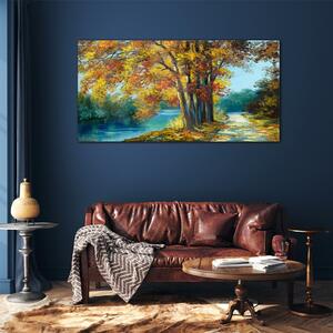 Obraz na skle Obraz na skle Lesní řeka strom listí