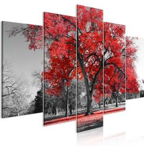 Obraz - Autumn in the Park (5 Parts) Wide Red