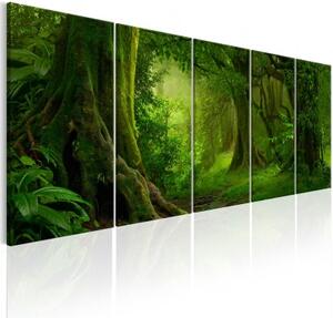 Obraz - Tropical Jungle