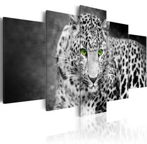 Obraz - Leopard - black&white