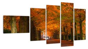 Obraz - cesty lesem na podzim (110x60cm)
