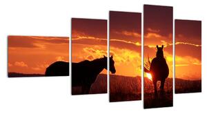 Obraz - koně při západu slunce (110x60cm)