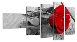 Obraz růže s červeným květem (110x60cm)