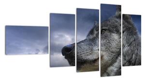 Obraz vlka (110x60cm)