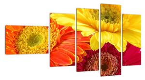 Obraz květů (110x60cm)