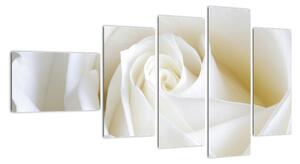 Obraz bílé růže (110x60cm)