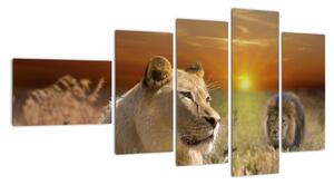Obrazy zvířat (110x60cm)