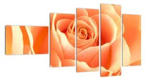 Obraz oranžové růže (110x60cm)