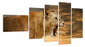 Obraz řvoucího lva (110x60cm)