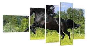 Obraz koně (110x60cm)
