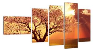 Obraz přírody - strom (110x60cm)