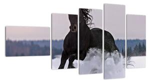 Obraz koně ve sněhu (110x60cm)