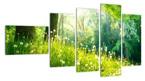 Moderní obrazy přírody (110x60cm)
