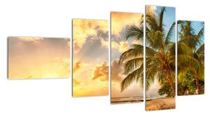 Obraz palmy na písečné pláži (110x60cm)