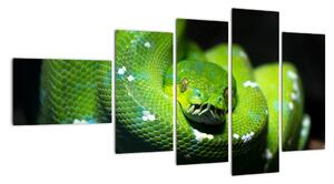 Obraz zvířat - had (110x60cm)
