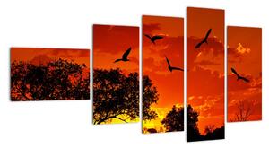 Obraz zapadajícího slunce s ptáky (110x60cm)