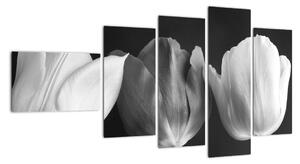 Černobílý obraz - tři tulipány (110x60cm)