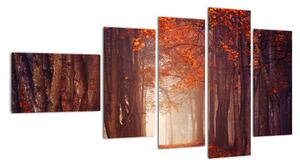 Podzimní les - obraz (110x60cm)