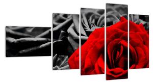 Obraz červené růže (110x60cm)