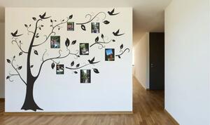 Nálepka na zeď do interiéru s motivem stromu s rámy na fotografie 100 x 100 cm