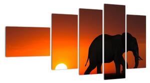 Obraz slona v zapadajícím slunci (110x60cm)