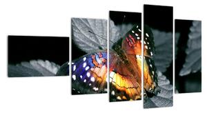 Motýl na listu - obraz (110x60cm)