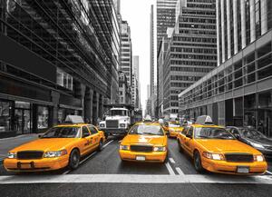 Malvis ® Tapeta NYC taxi Vel. (šířka x výška): 288 x 200 cm