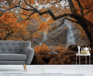 Malvis ® Tapeta Podzimní vodopád Vel. (šířka x výška): 144 x 105 cm