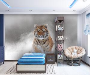 Malvis ® Tapeta Sněžný tygr Vel. (šířka x výška): 144 x 105 cm