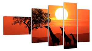 Obraz žirafy při západu slunce (110x60cm)