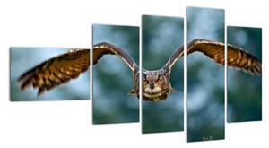 Obraz letící sovy (110x60cm)
