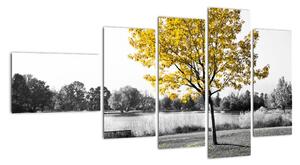 Obraz žlutého stromu v přírodě (110x60cm)