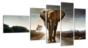 Obraz kráčejícího slona (110x60cm)
