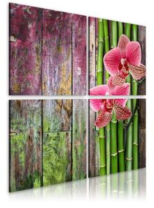 Obraz - Bambus a orchidea