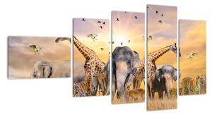 Obraz - safari (110x60cm)