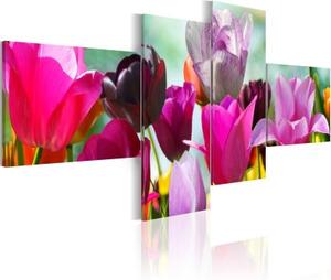 Obraz - Růžové tulipány