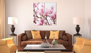 Obraz - Blooming magnolia tree