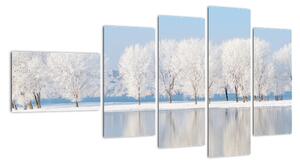 Obraz - zimní příroda (110x60cm)