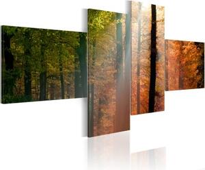 Obraz - Pohled na podzimní les