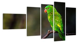 Obraz zeleného papouška (110x60cm)