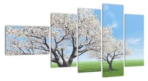 Obraz kvetoucího stromu na jarní louce (110x60cm)
