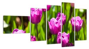 Obraz kvetoucích tulipánů (110x60cm)
