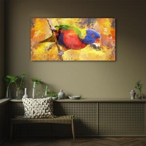 Obraz na skle Obraz na skle Pobočka zvířecí pták papouška
