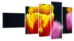 Obraz tulipánu (110x60cm)