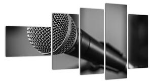 Obraz mikrofonu (110x60cm)