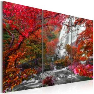 Obraz - Beautiful Waterfall: Autumnal Forest
