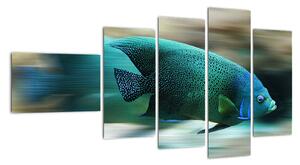 Obraz na stenu - ryby (110x60cm)
