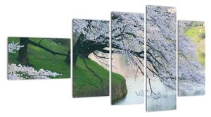 Obraz kvetoucích stromů (110x60cm)